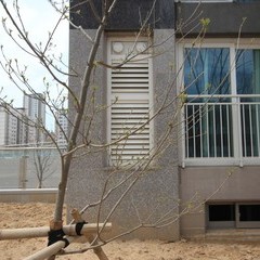세종시 현대 시스템 루버